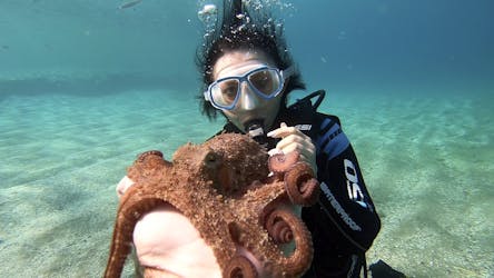 Lezione di immersioni subacquee per principianti a Creta con pick-up